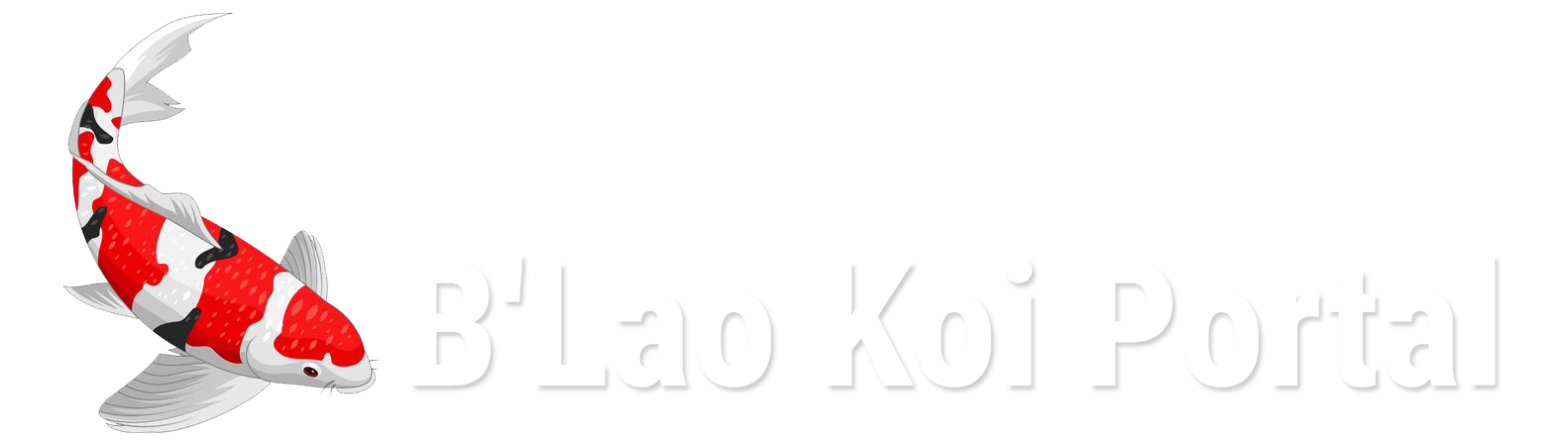 Cafe Cá Koi – B'Lao Koi Portal