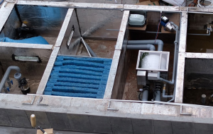 ngăn lọc hồ cá koi